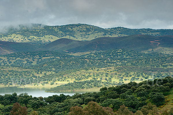 Spanien (Spain)