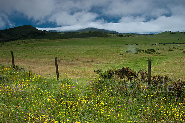 Spanien (Spain)