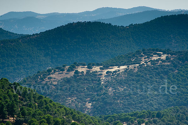 Spanien (Spain)