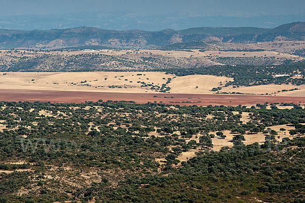 Spanien (Spain)