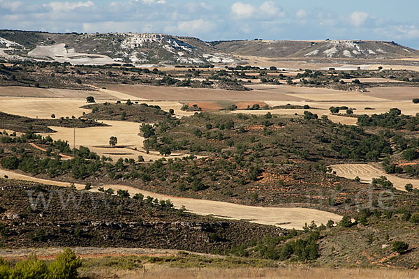 Spanien (Spain)