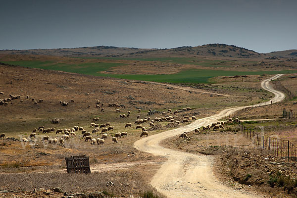 Spanien (Spain)