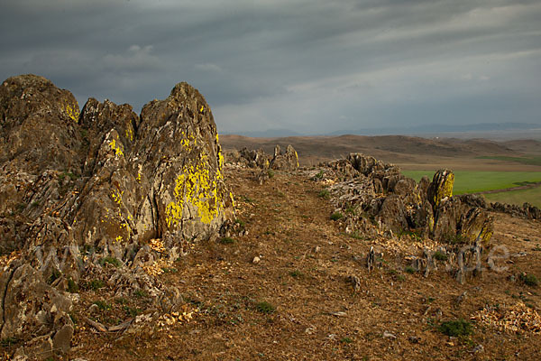 Spanien (Spain)