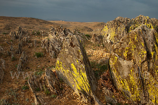 Spanien (Spain)