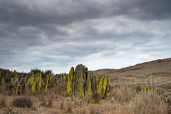 Spanien (Spain)