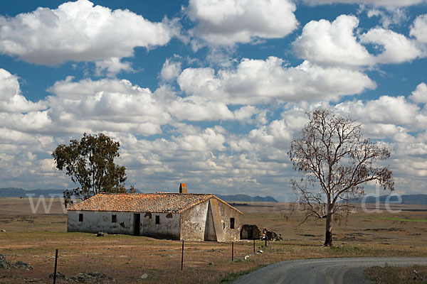 Spanien (Spain)