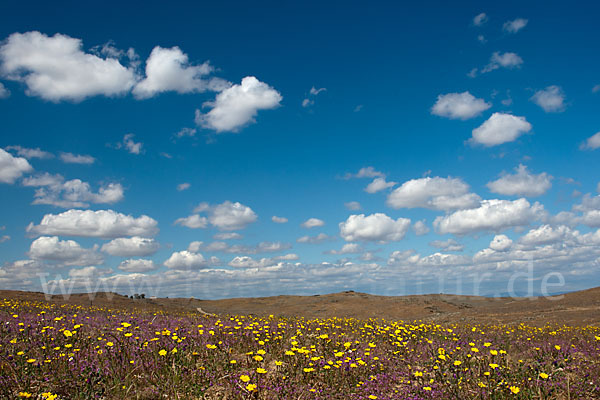 Spanien (Spain)