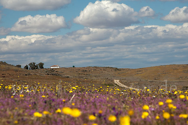 Spanien (Spain)