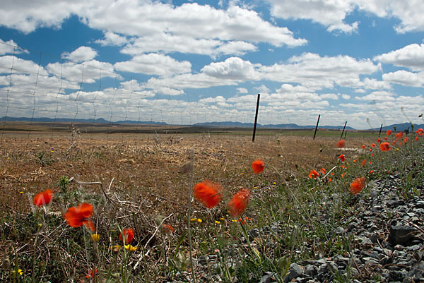 Spanien (Spain)