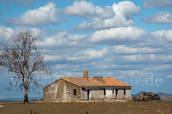 Spanien (Spain)