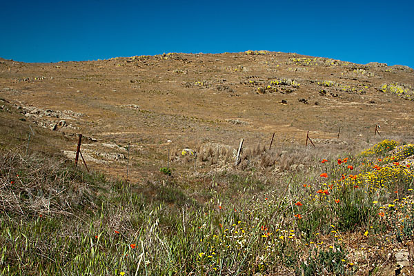 Spanien (Spain)