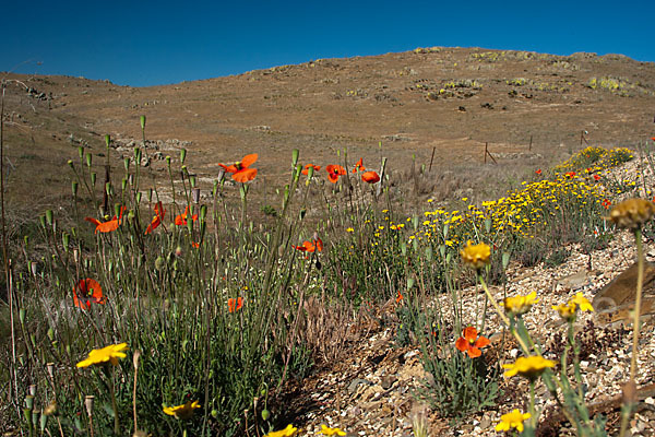 Spanien (Spain)