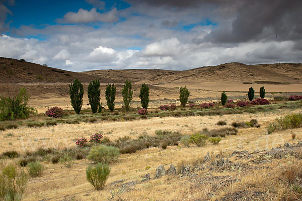 Spanien (Spain)