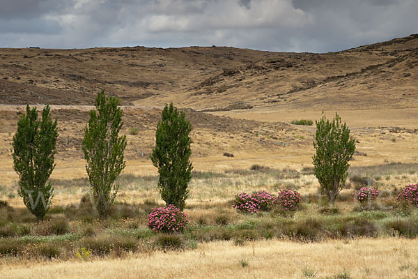 Spanien (Spain)