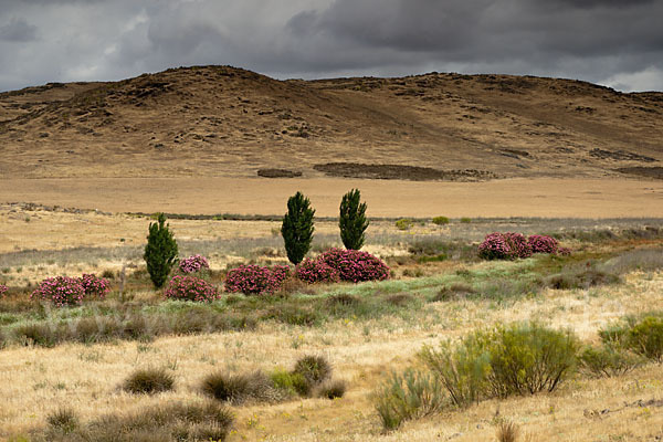 Spanien (Spain)