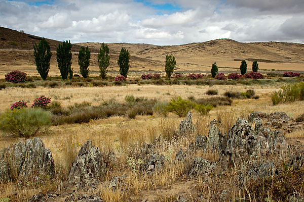 Spanien (Spain)