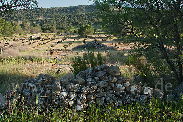 Spanien (Spain)