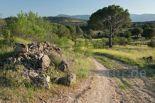 Spanien (Spain)