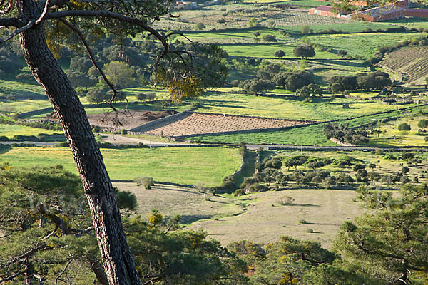 Spanien (Spain)