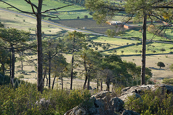 Spanien (Spain)