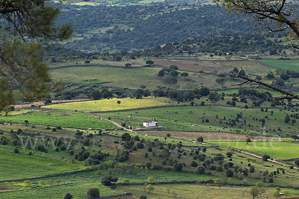 Spanien (Spain)