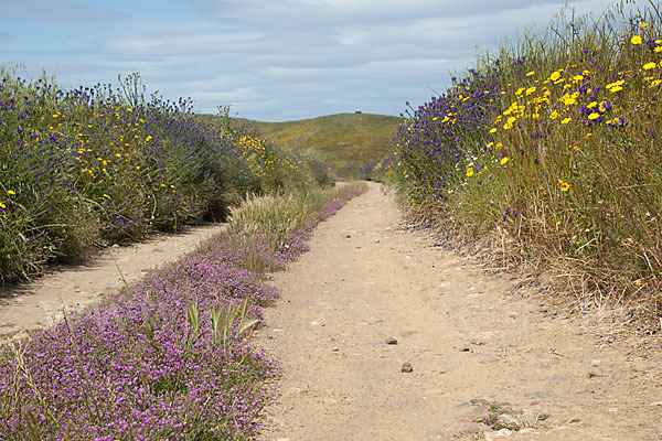 Spanien (Spain)