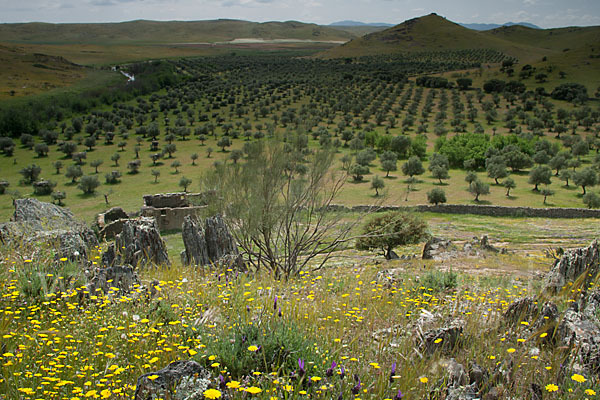 Spanien (Spain)