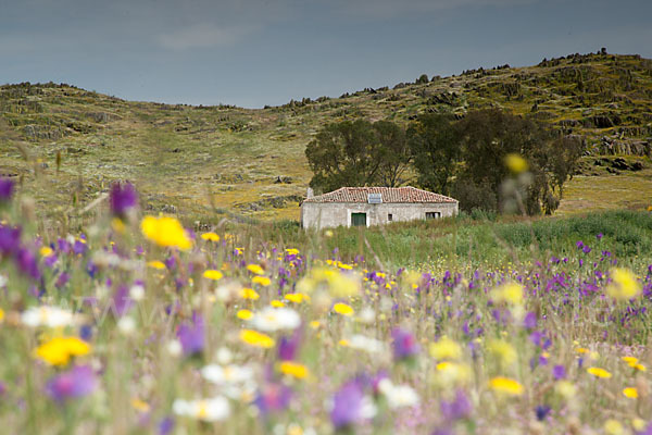 Spanien (Spain)