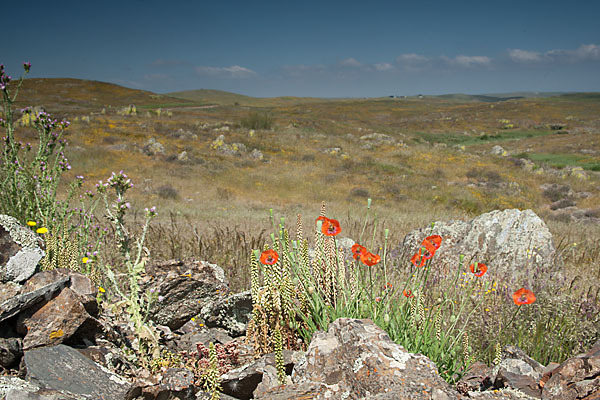 Spanien (Spain)