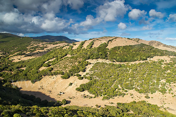 Spanien (Spain)