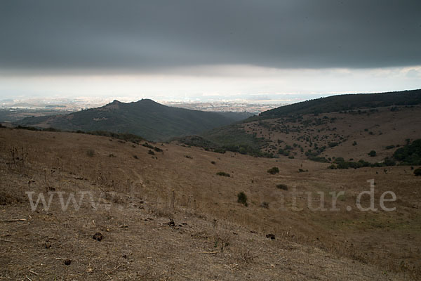 Spanien (Spain)