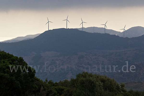 Spanien (Spain)