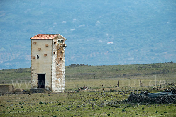 Spanien (Spain)