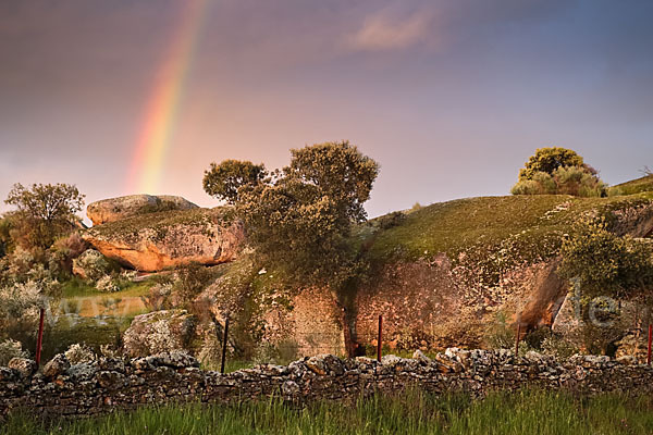 Spanien (Spain)