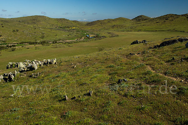 Spanien (Spain)