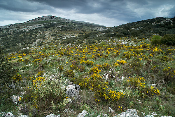 Spanien (Spain)