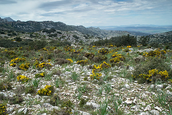 Spanien (Spain)