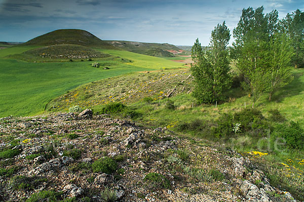 Spanien (Spain)