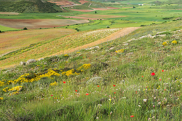 Spanien (Spain)