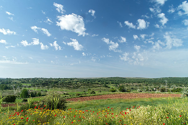 Spanien (Spain)