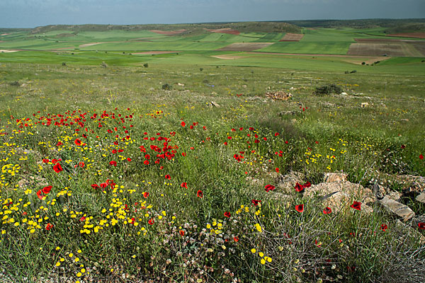 Spanien (Spain)