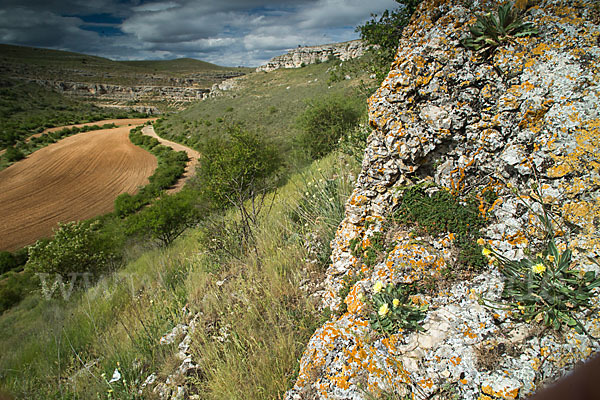 Spanien (Spain)