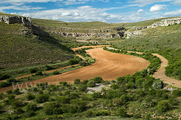 Spanien (Spain)