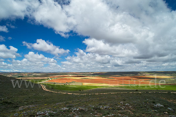 Spanien (Spain)