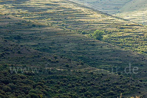 Spanien (Spain)