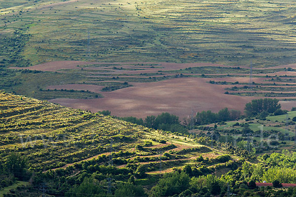 Spanien (Spain)