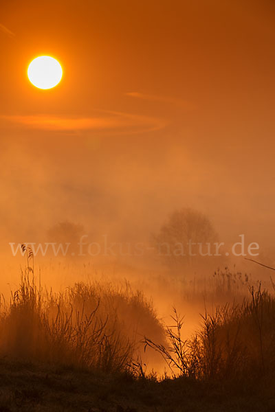Stimmung (atmosphere)