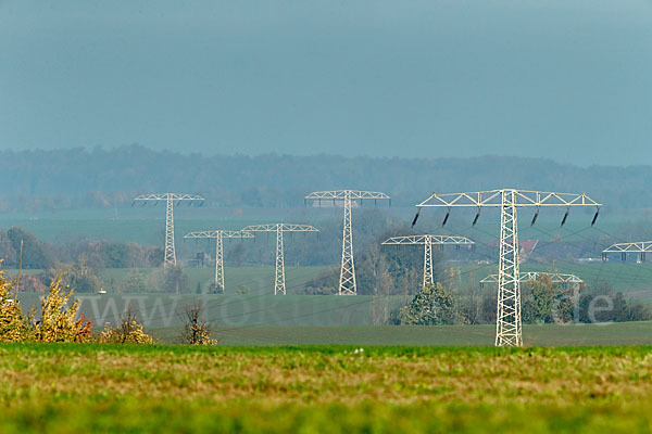 Stromleitung (Freileitung)