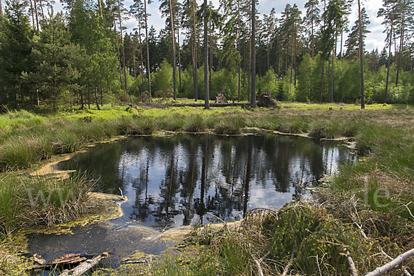 Thüringen (Thuringia)