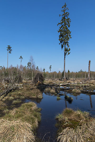 Thüringen (Thuringia)